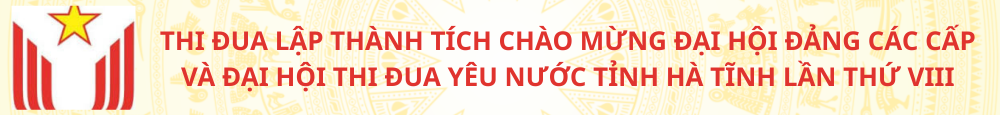 Banner 5