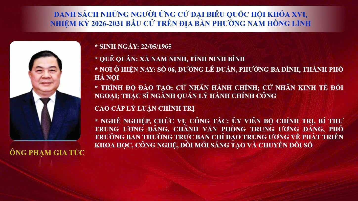 Danh sách những người ứng cử đại biểu Quốc hội khóa 16, nhiệm kỳ 2026–2031 bầu cử trên địa bàn phường Nam Hồng Lĩnh (Đơn vị bầu cử số 3)