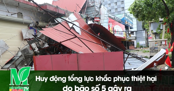 Báo cáo kết quả thống kê, đánh giá mức độ thiệt hại và đề xuất kinh phí hỗ trợ khôi phục sản xuất nông nghiệp do mưa lớn và bão số 5 năm 2025