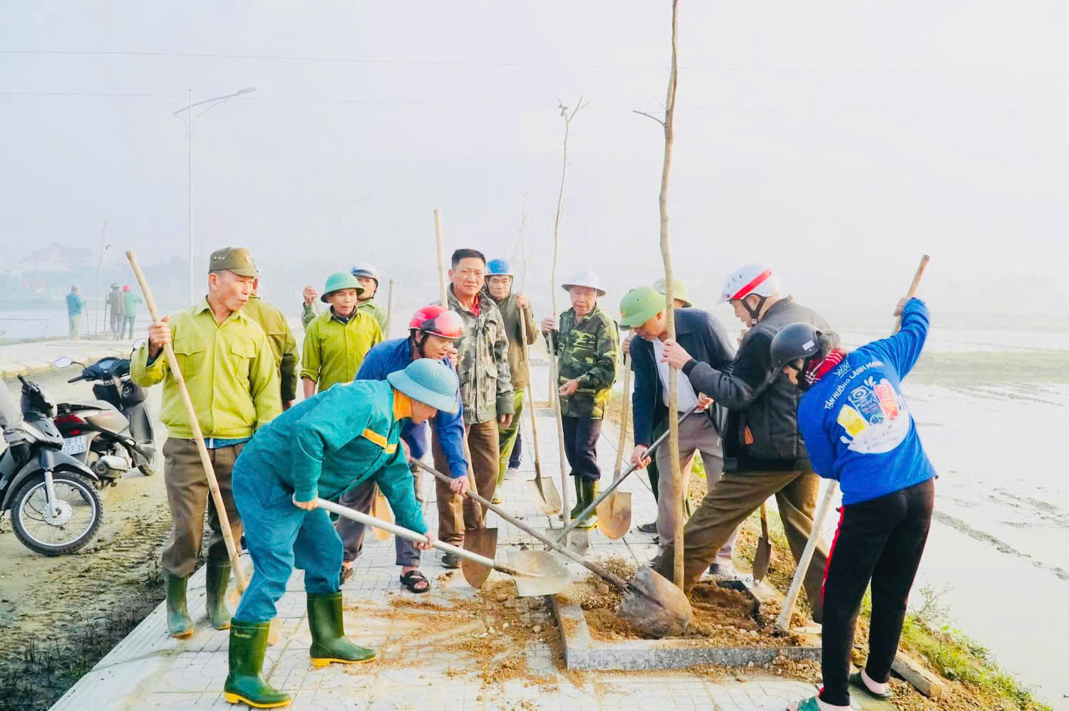 Phường Nam Hồng Lĩnh triển khai “Tết trồng cây đời đời nhớ ơn Bác Hồ” Xuân Bính Ngọ năm 2026