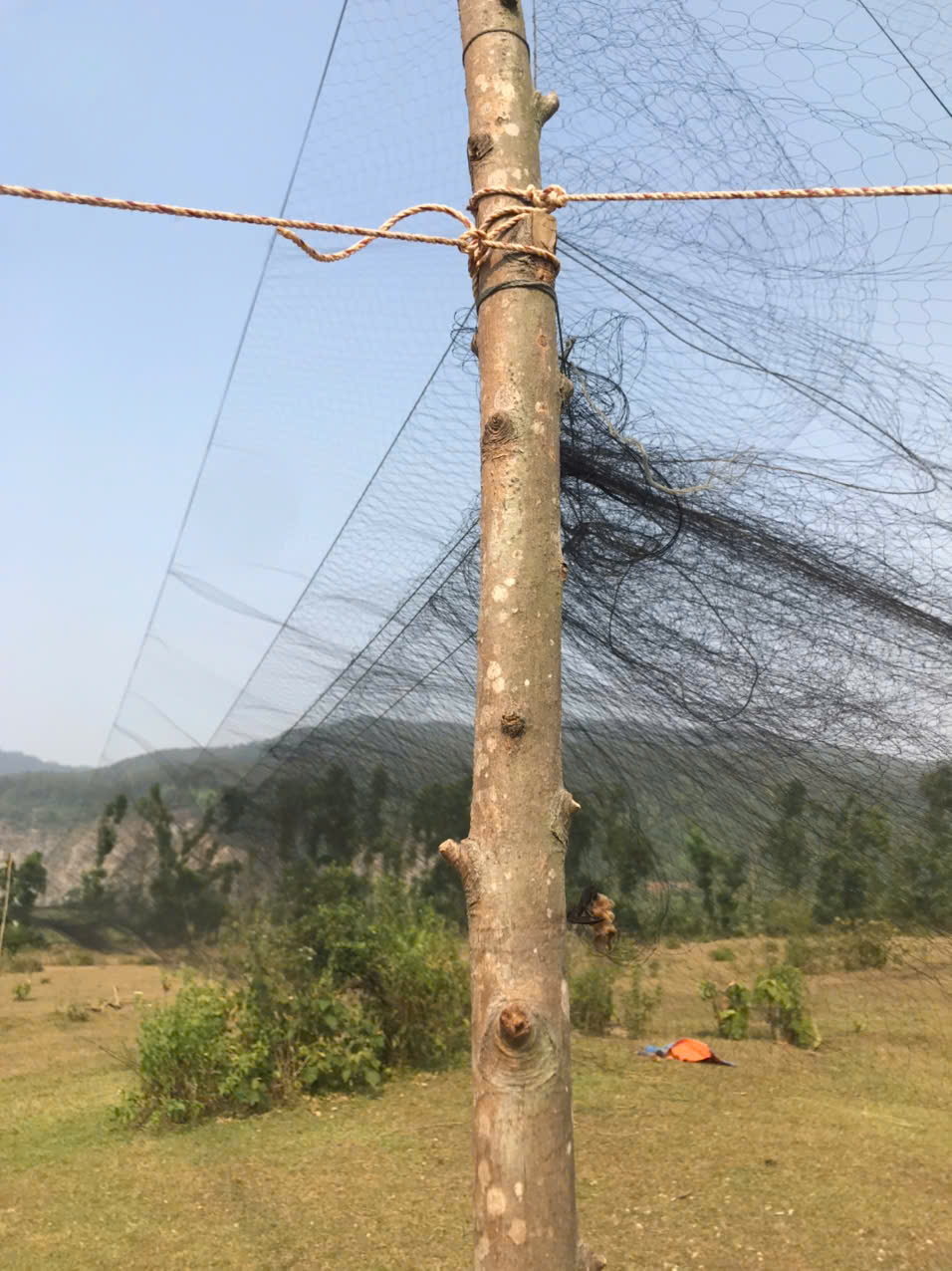 Kịp thời phát hiện, tháo dỡ bẫy bắt chim trái phép tại phường Nam Hồng Lĩnh