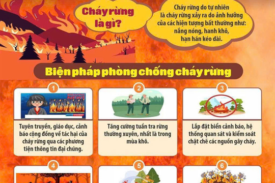 Cảnh báo nguy cơ cháy rừng cấp V – cấp cực kỳ nguy hiểm