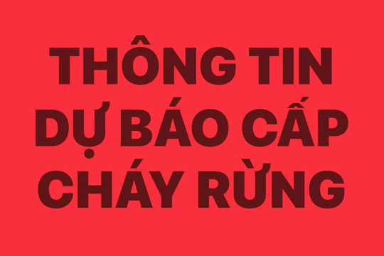 Chi cục Kiểm lâm Hà Tĩnh thông tin cấp dự báo cháy rừng