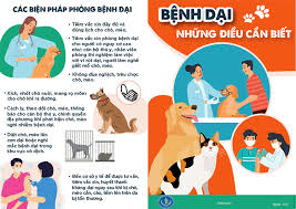 Hãy phòng, chống bệnh Dại đúng cách!
