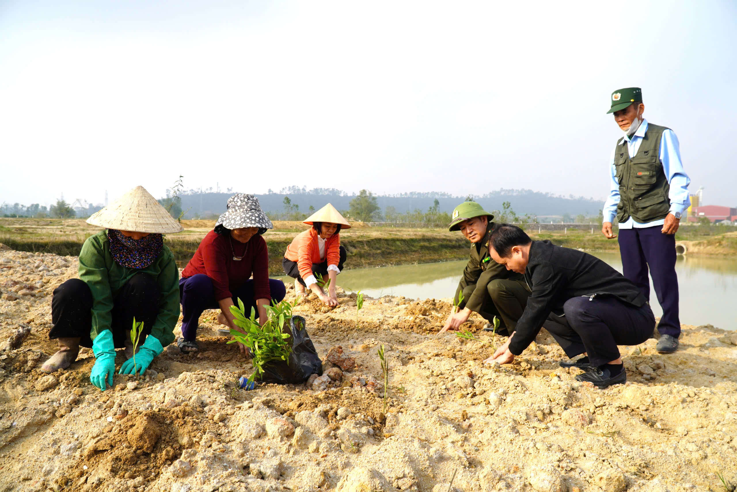 Ra quân trồng cây xanh, cây phân tán hỗ trợ từ chương trình phát triển lâm nghiệp bền vững